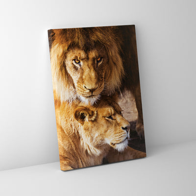 Captivating Lion Pair Courtship: Transform Your Space with Our Canvas Print!