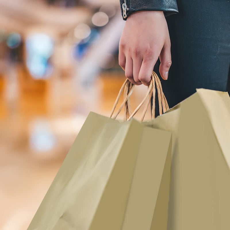 Disposable Brown Kraft Paper Bags