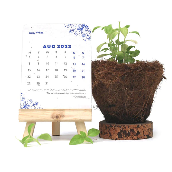 Plantable Calendar 2022 with Wooden Stand